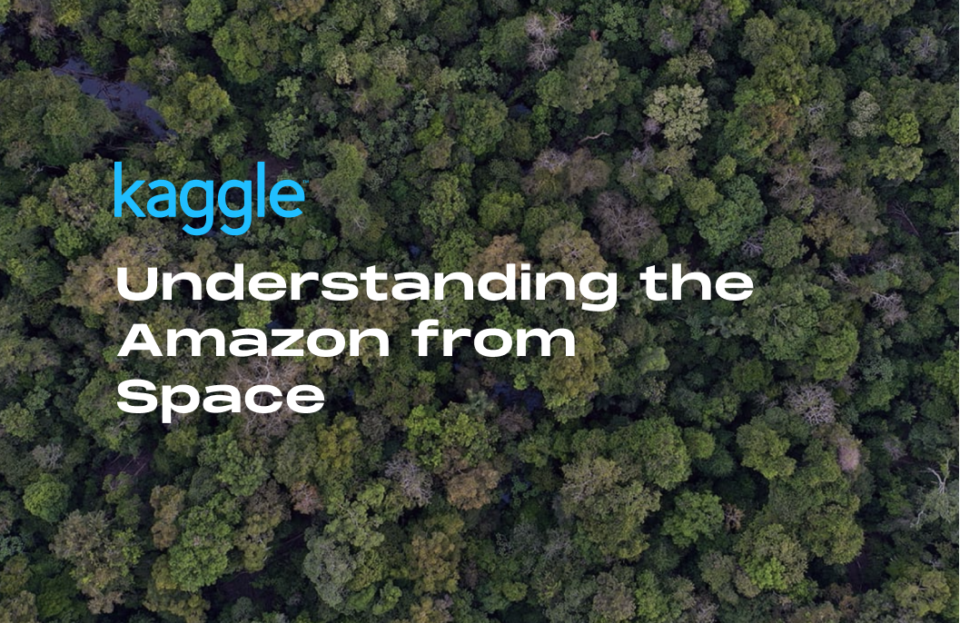 Understanding the Amazon from space